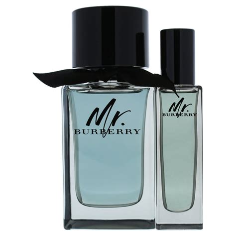 mr burberry men's fragrance|burberry brit for men fragrantica.